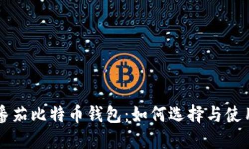 番茄比特币钱包：如何选择与使用