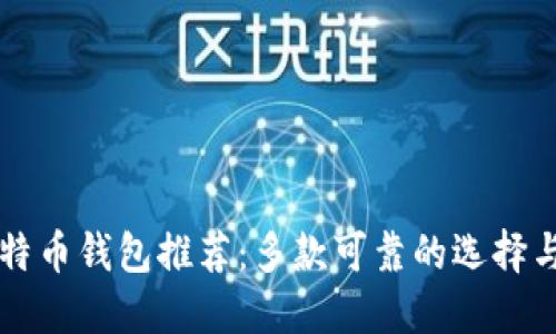 中文版比特币钱包推荐：多款可靠的选择与使用指南