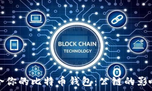 如何选择适合你的比特币钱包:公链的影响与选择指南