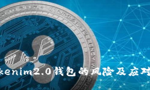 假tokenim2.0钱包的风险及应对策略