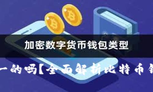 比特币钱包是唯一的吗？全面解析比特币钱包的类型与选择