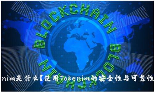 Tokenim是什么？使用Tokenim的安全性与可靠性分析