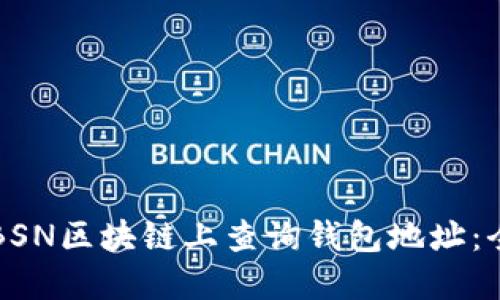 如何在BSN区块链上查询钱包地址：全面指南