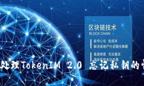 如何处理TokenIM 2.0 忘记私钥的情况？