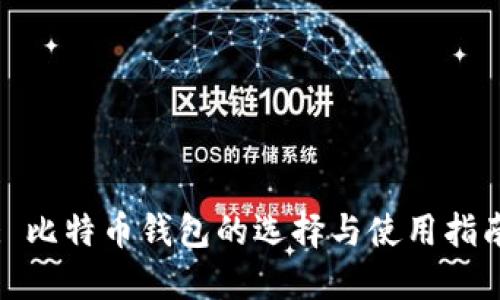 : 比特币钱包的选择与使用指南
