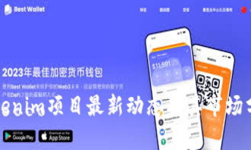 Tokenim项目最新动态及其市场分析