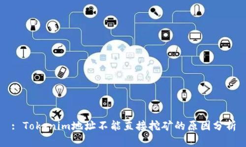 : Tokenim地址不能直接挖矿的原因分析