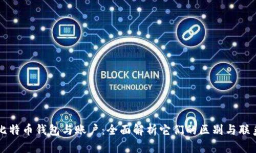 比特币钱包与账户：全面解析它们的区别与联系