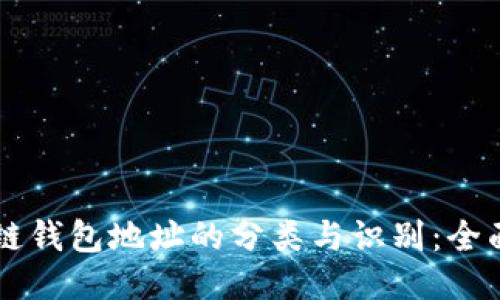 区块链钱包地址的分类与识别：全面指南