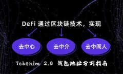 Tokenim 2.0 钱包地址分割指