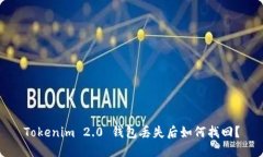 Tokenim 2.0 钱包丢失后如何