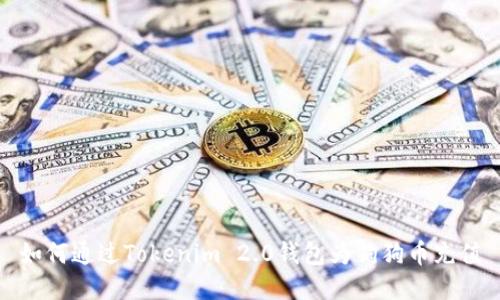 如何通过Tokenim 2.0钱包为狗狗币充值