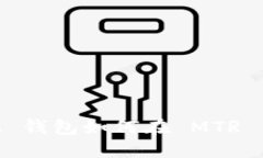 MetaMask 钱包如何在 MTR 网络