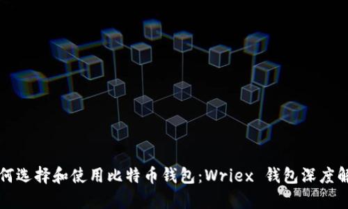 如何选择和使用比特币钱包：Wriex 钱包深度解析