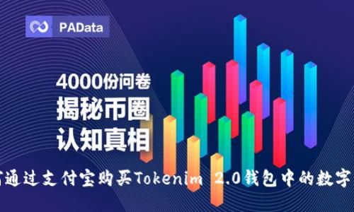如何通过支付宝购买Tokenim 2.0钱包中的数字资产