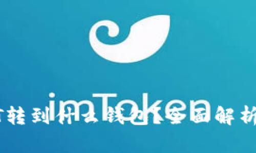 : USDT转到什么钱包？全面解析与推荐