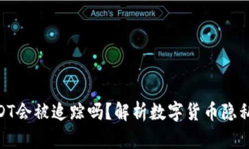 TokenIMUSDT会被追踪吗？解析数字货币隐私与安全问题