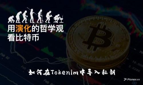 如何在Tokenim中导入私钥