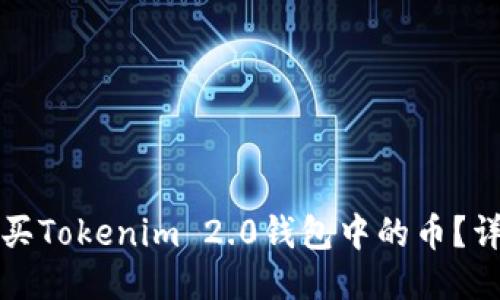 如何购买Tokenim 2.0钱包中的币？详细指南