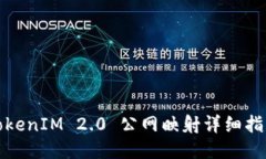 TokenIM 2.0 公网映射详细指