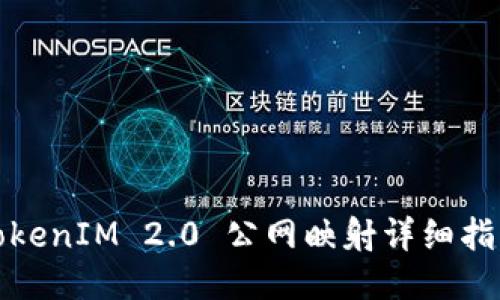 TokenIM 2.0 公网映射详细指南