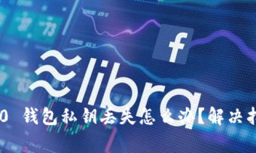 : Tokenim 2.0 钱包私钥丢失怎么办？解决指南与注意事项