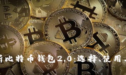 全面解析比特币钱包2.0：选择、使用与安全性