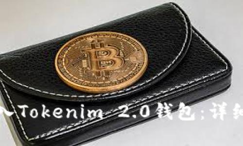 如何将币转入Tokenim 2.0钱包：详细步骤与指南