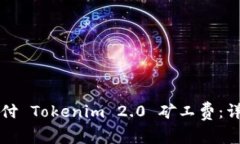 如何支付 Tokenim 2.0 矿工费