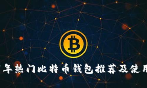 2017年热门比特币钱包推荐及使用指南