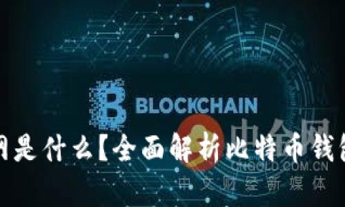 比特币钱包官网是什么？全面解析比特币钱包的类型与选择