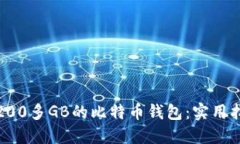 如何管理200多GB的比特币钱