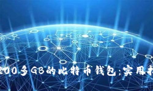 如何管理200多GB的比特币钱包：实用指南与建议