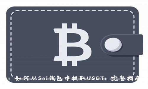 : 如何从Sol钱包中提取USDT: 完整指南