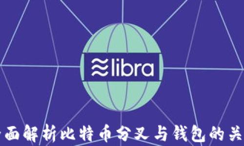 
全面解析比特币分叉与钱包的关系