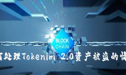 如何处理Tokenim 2.0资产被盗的情况？