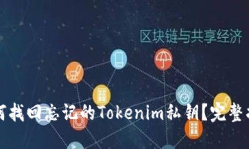 如何找回忘记的Tokenim私钥？完整指南