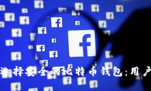 如何选择安全的比特币钱包：用户指南