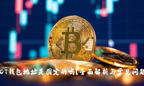 : USDT钱包地址是固定的吗？全面解析与常见问题解答