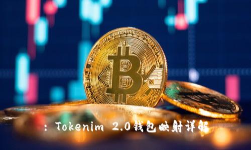 : Tokenim 2.0钱包映射详解