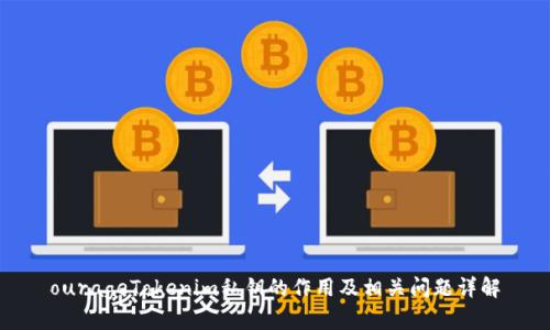 ourageTokenim私钥的作用及相关问题详解