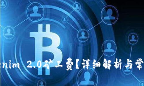 什么是Tokenim 2.0矿工费？详细解析与常见问题解答
