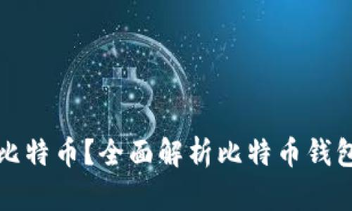 什么钱包能存放比特币？全面解析比特币钱包种类与选择指南