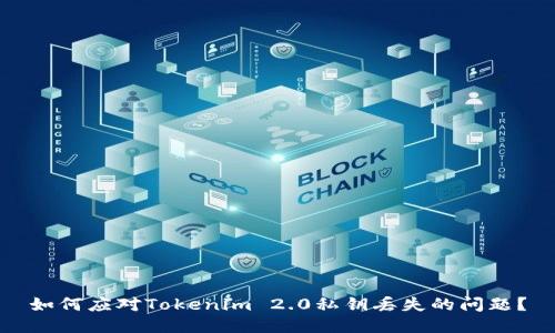 如何应对Tokenim 2.0私钥丢失的问题？
