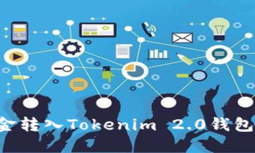 如何将资金转入Tokenim 2.0钱包：详细指南