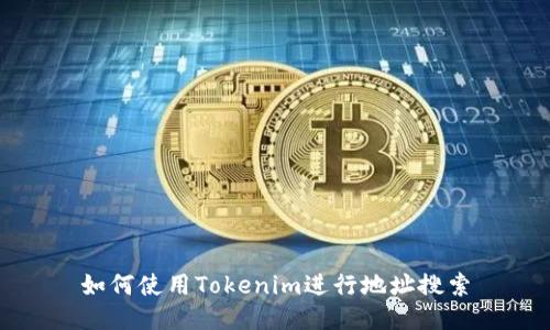 如何使用Tokenim进行地址搜索