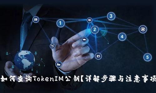 如何查询TokenIM公钥？详解步骤与注意事项
