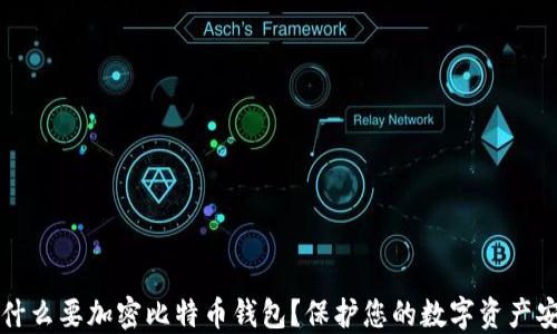 
为什么要加密比特币钱包？保护您的数字资产安全