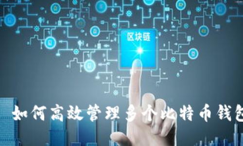 : 如何高效管理多个比特币钱包