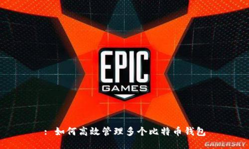 : 如何高效管理多个比特币钱包